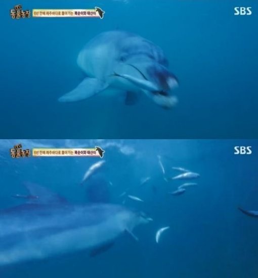 태산농장 이미지