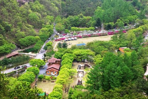 고산자연휴양림 이미지