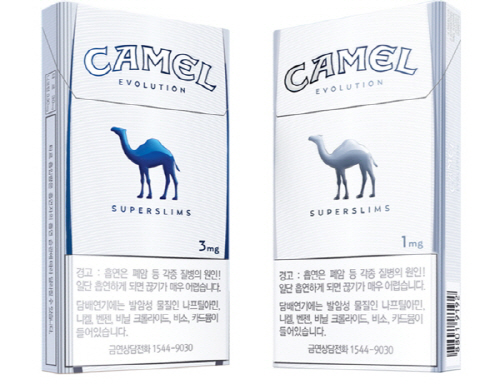 카멜 이미지