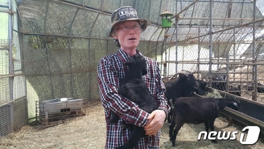 산골흑염소 이미지