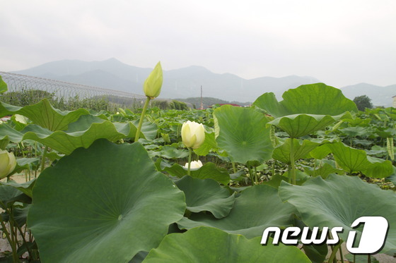 (주)가산농업회사법인 이미지