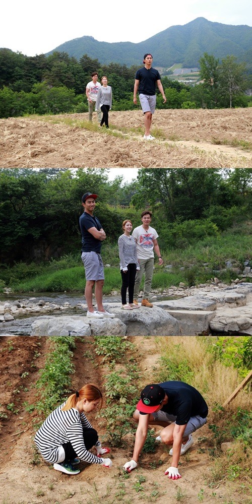 삼시세끼 이미지