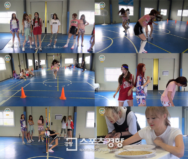 나인캐스트 이미지