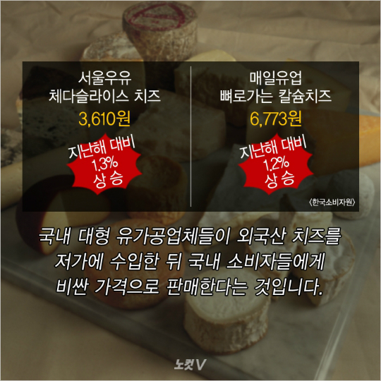치즈카드 이미지