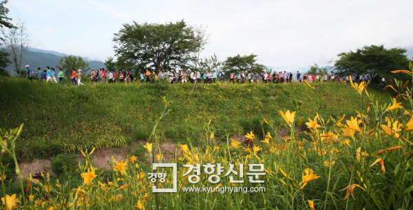 구례군체육회 이미지
