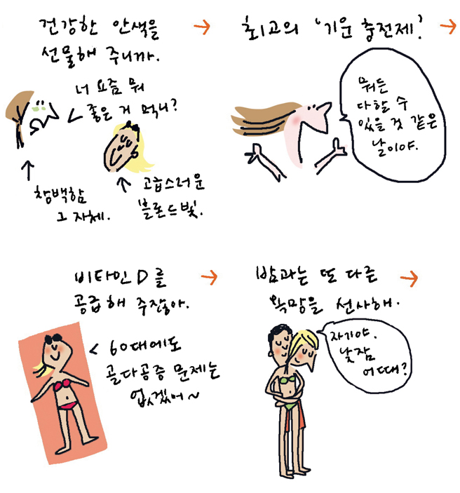 태양성 이미지