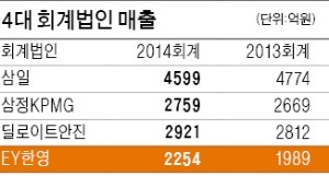 언스트앤영어드바이저리 이미지