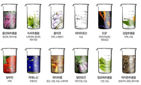 미스킨 이미지