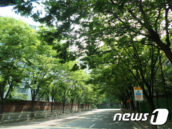 녹음 이미지