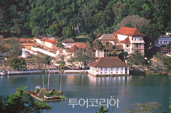 하늘캔디 이미지