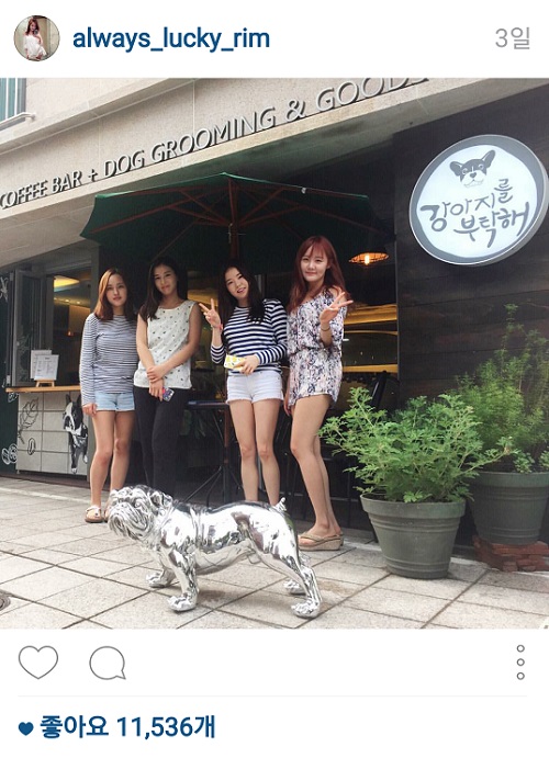 예림 이미지