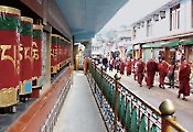 인도 다람살라-달라이 라마를 만나러 가는 길