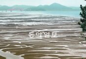 [김화성 전문기자의 &joy]‘느려 터져서 더 행복한 섬’ 전남 증도 걷기