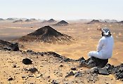 [이색여행] 이집트 사막 사파리