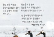 [김화성 전문기자의 &joy]하얀 선비들이 하얀 세상서 춤춘다… 뚜루루~ 뚜루루~