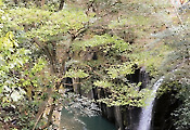 숲길 따라 물길 따라… 일본의 자연을 쉬엄쉬엄 걷다