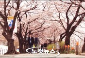 [두 남자의 데이트 코스] 봄 데이트 슈퍼갑! ‘벚꽃 놀이’