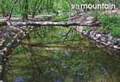 [Mountain Special｜숲] 여유와 사색의  아름다운 공존지대
