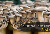 사시사철 푸르름이 가득한 청산의 별미, 농가맛집 <청산별미>