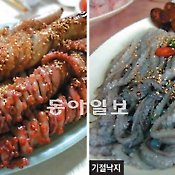 [지금이 제철]<12> 세발낙지