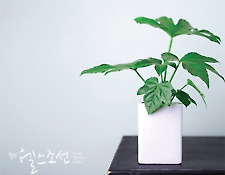 본격적인 장마 시작, 축축한 습기 관리법