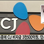 CJ 그룹 비자금 수사